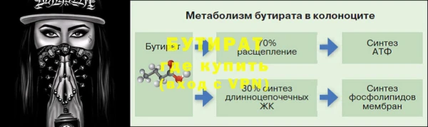 индика Белокуриха